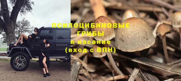 прущие крисы Алзамай