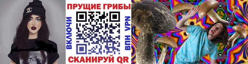 Псилоцибиновые грибы MAGIC MUSHROOMS  Березники 